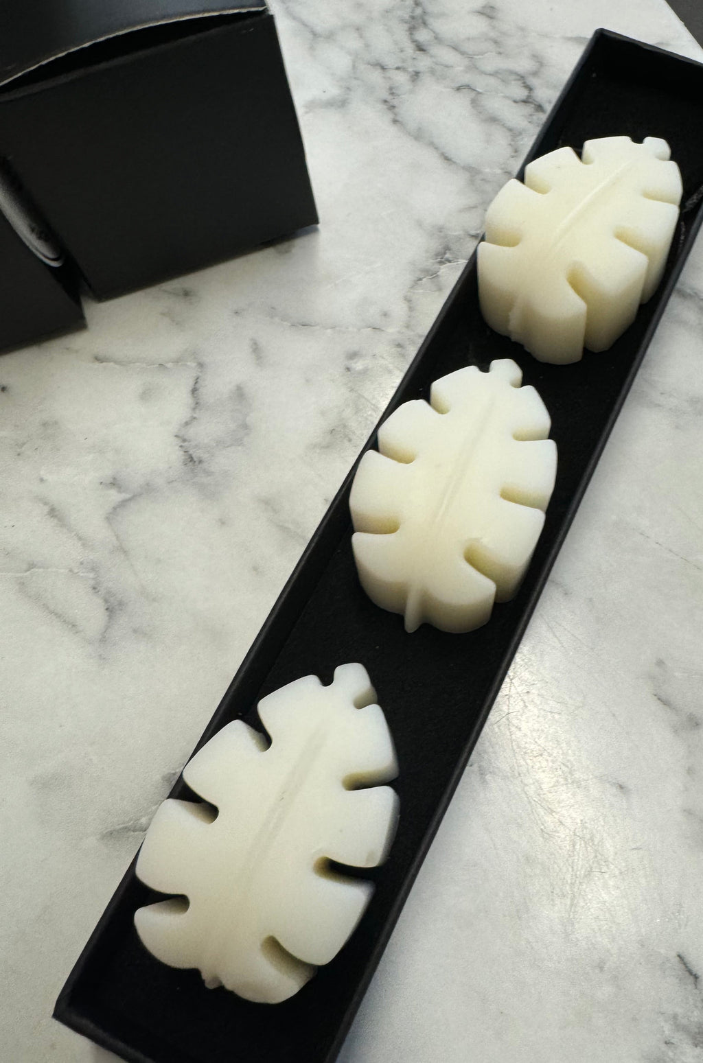 MONSTERA – WAX MELT in the mood