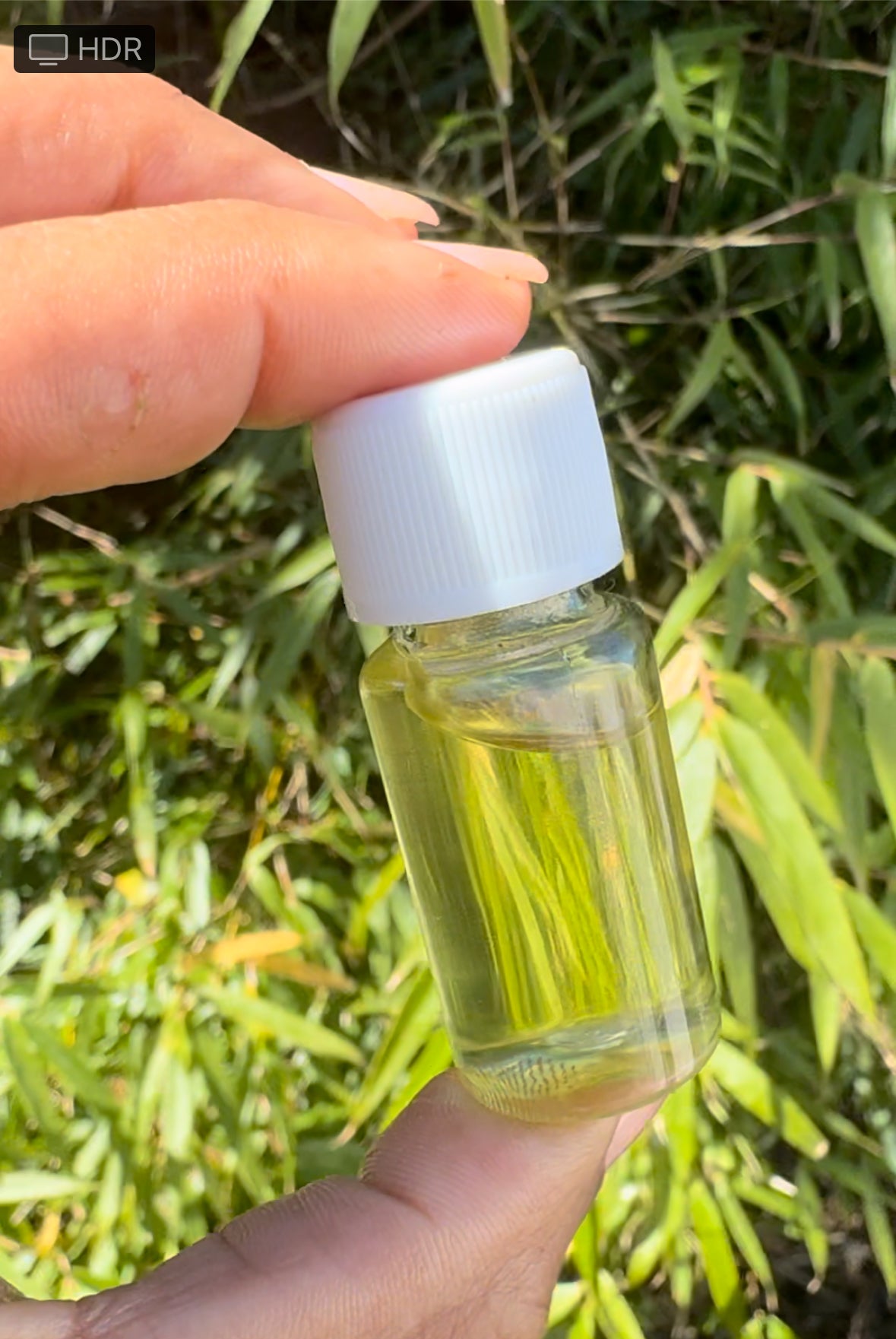 Baby Regen Elixir Oil™ | Scalp Recovery + Growth Support Oil