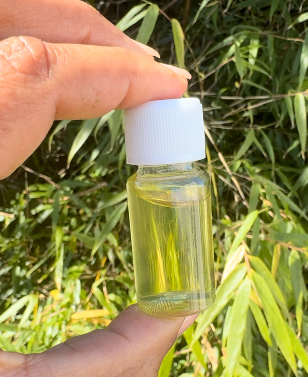 Baby Regen Elixir Oil™ | Scalp Recovery + Growth Support Oil