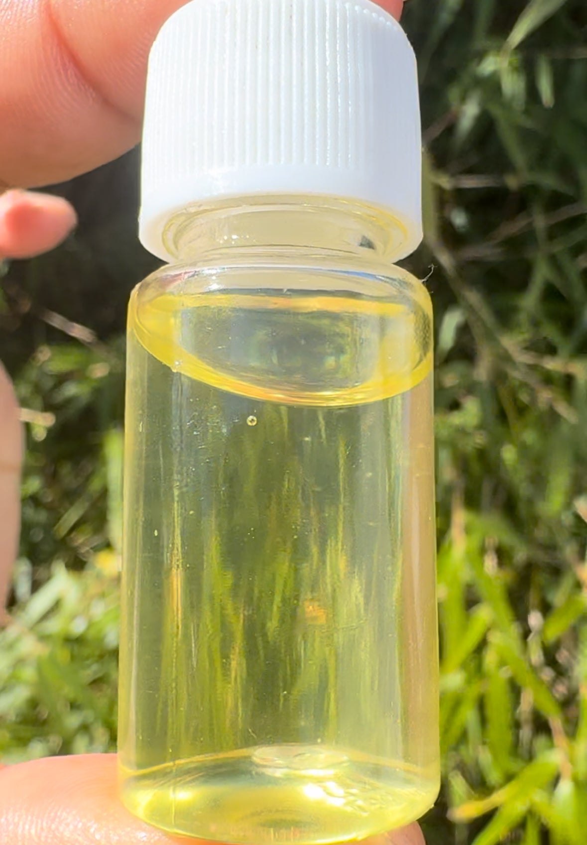 Baby Regen Elixir Oil™ | Scalp Recovery + Growth Support Oil